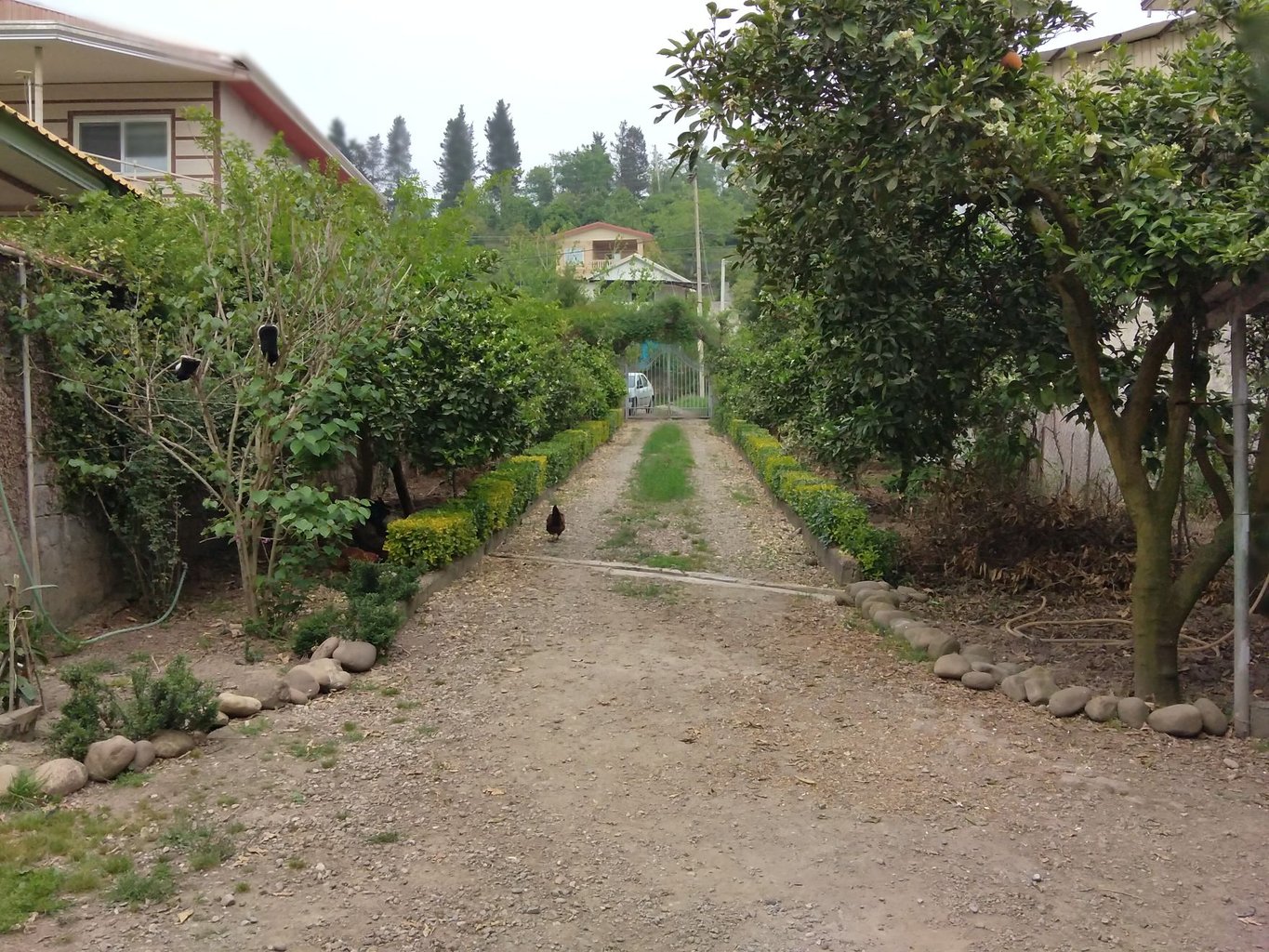 اجاره سوئیت یک خوابه ستاره شمالی بابل