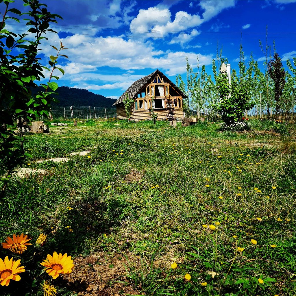 اجاره کلبه فلت پارادایس کاظمی ماسال