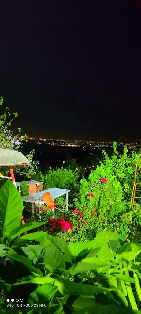 اجاره ویلا یک خوابه عمو رشید بابل