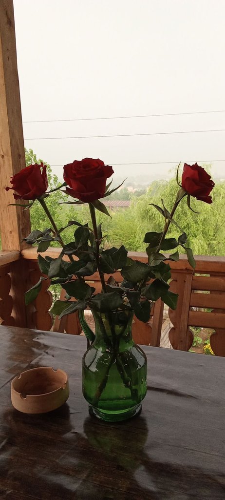 اجاره بوم گردی دیل وا - واحد می جان رشت