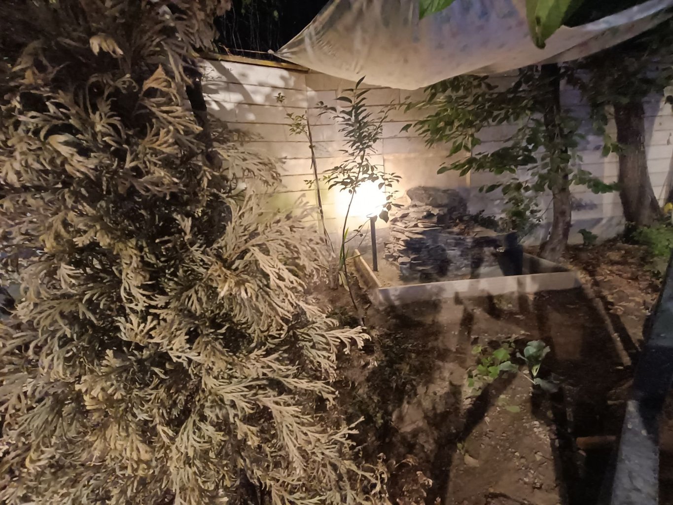 اجاره ویلا یک خوابه استخردار باغ بهشت 2 دماوند