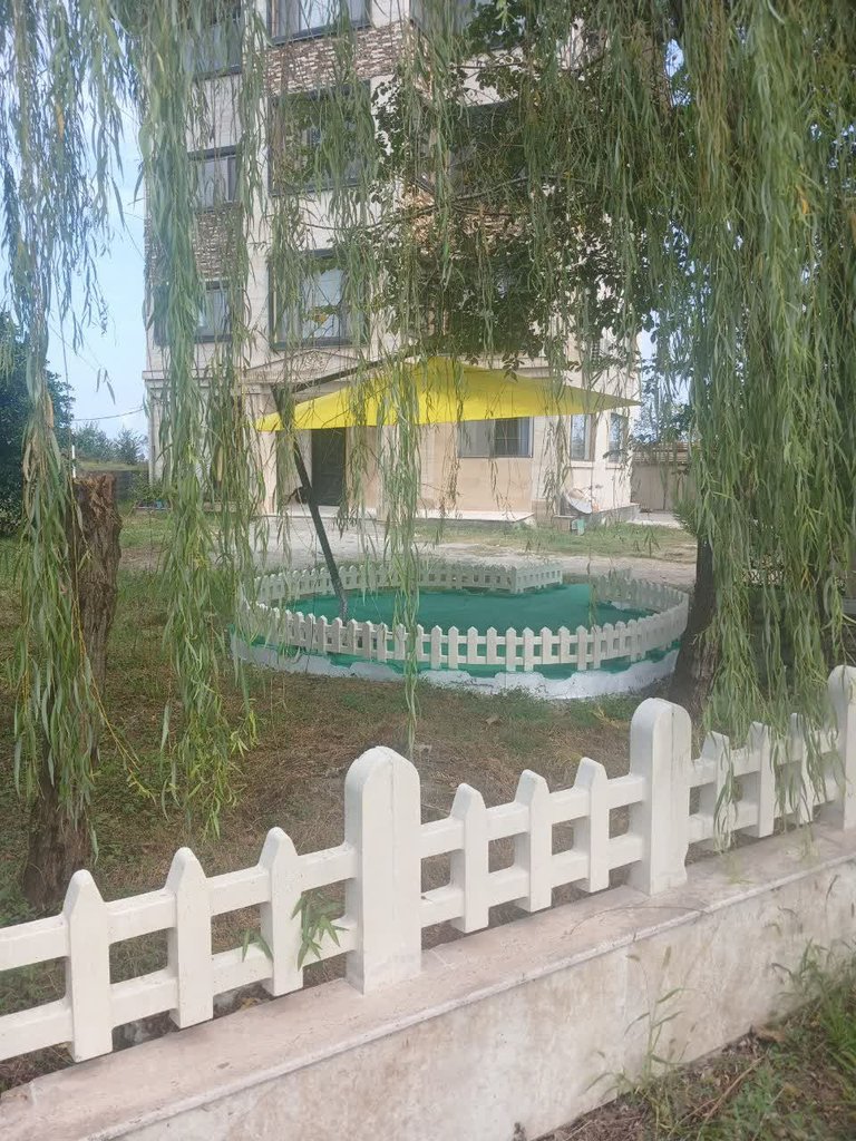 اجاره ویلا یک خوابه کاسپین نوین کلاچای