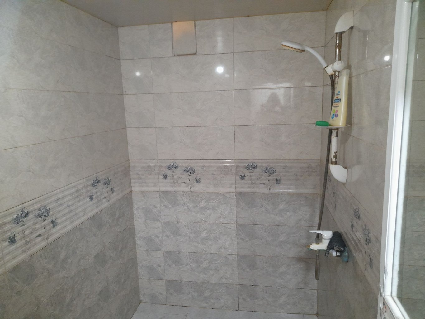 اجاره ویلا یک خوابه باغ شمال رشت