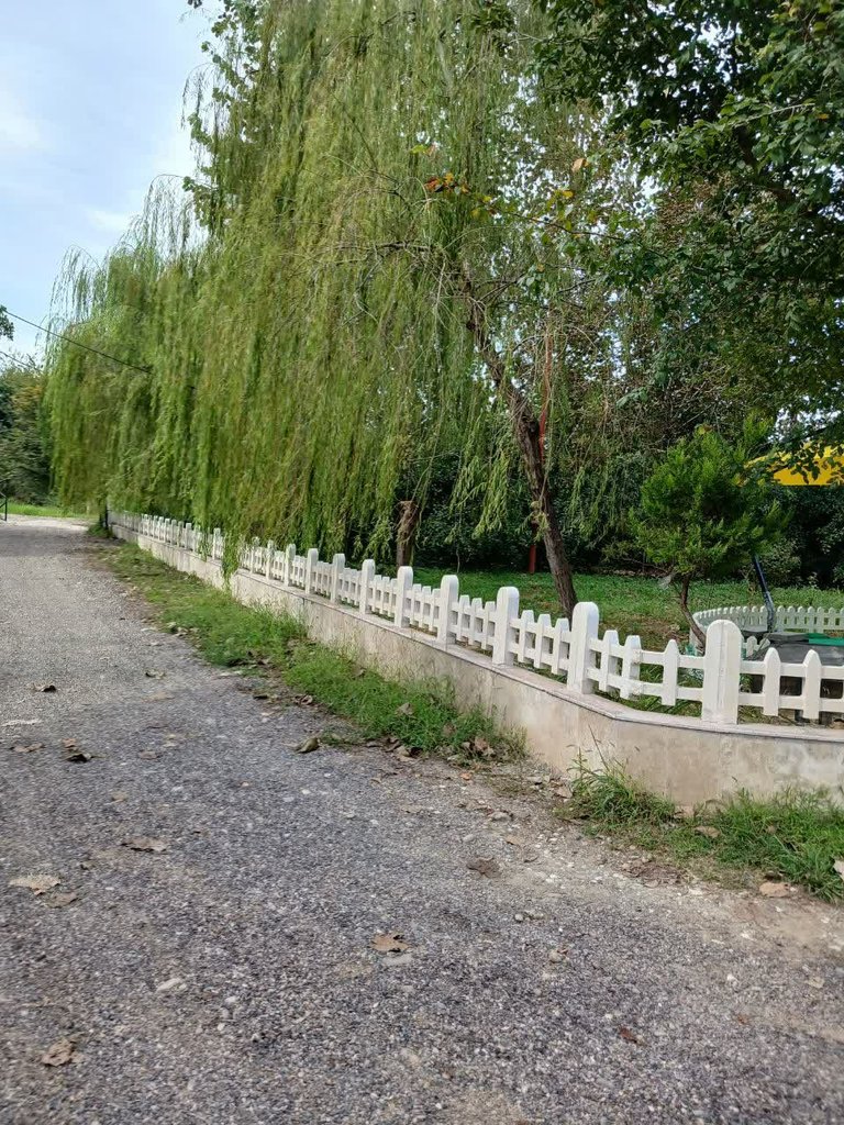 اجاره ویلا یک خوابه کاسپین نوین کلاچای