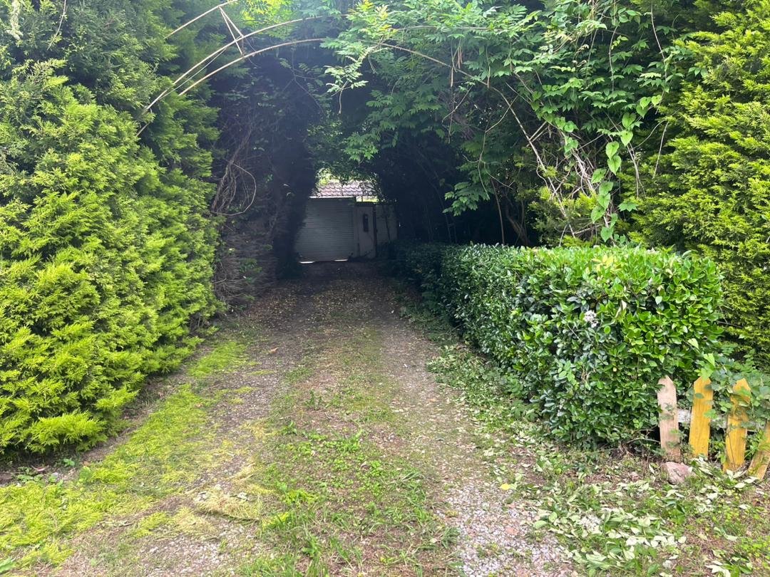 کلبه دوخوابه رایان