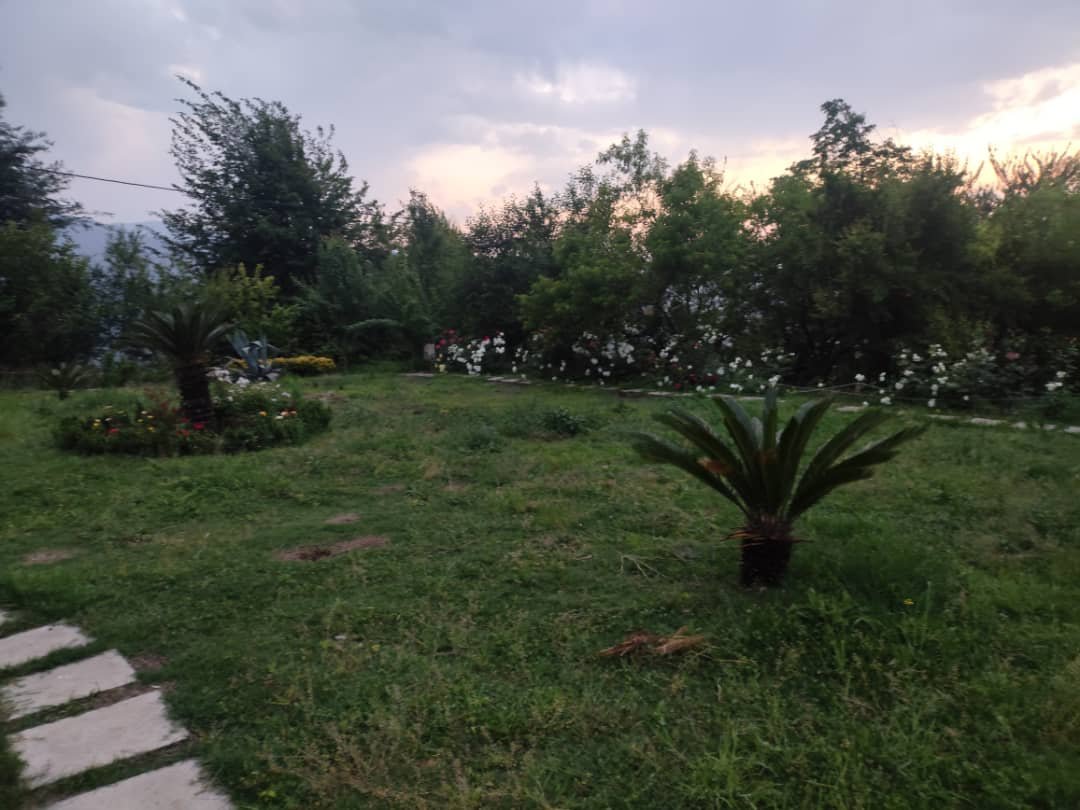 سوئیت فلت جنگلی گردشی