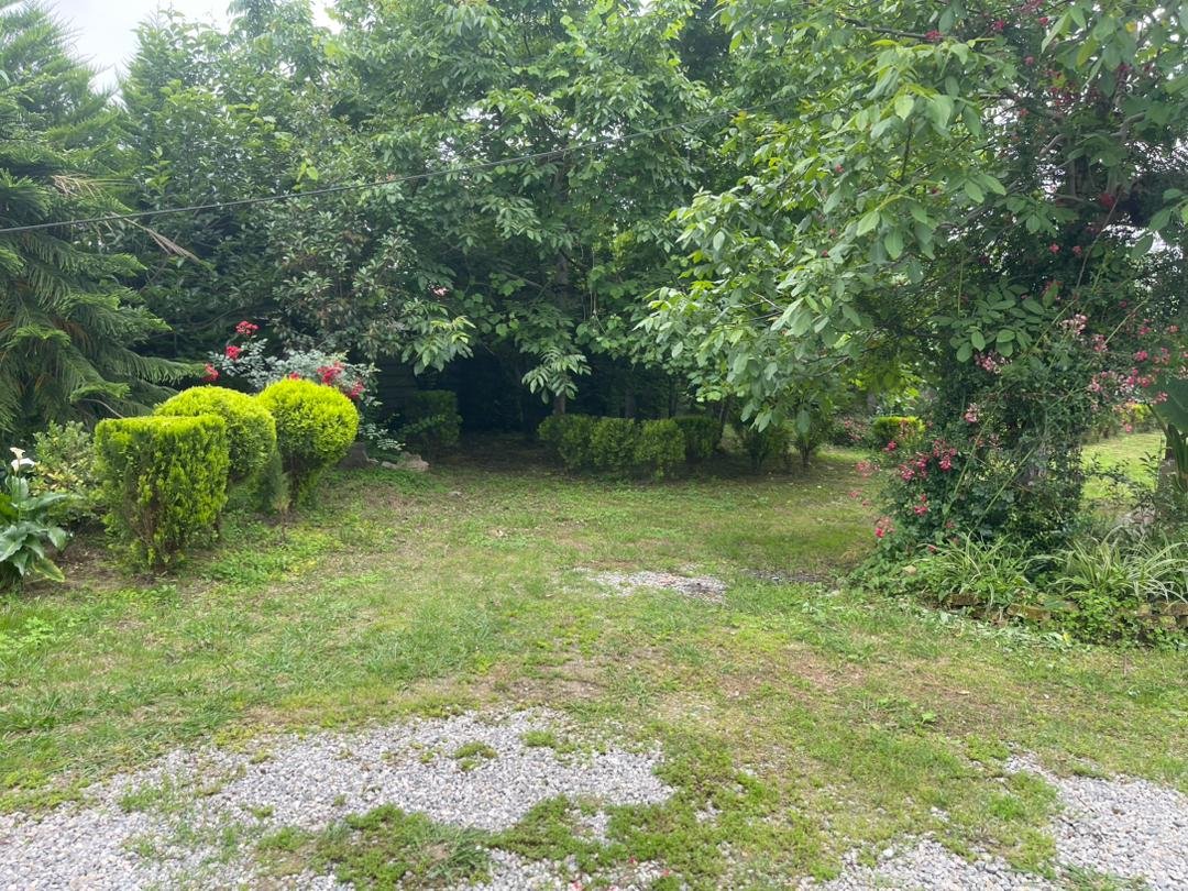 کلبه دوخوابه رایان