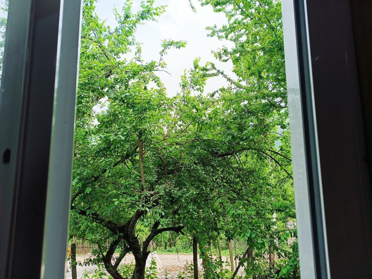 کلبه یک خوابه چوبی خوروم