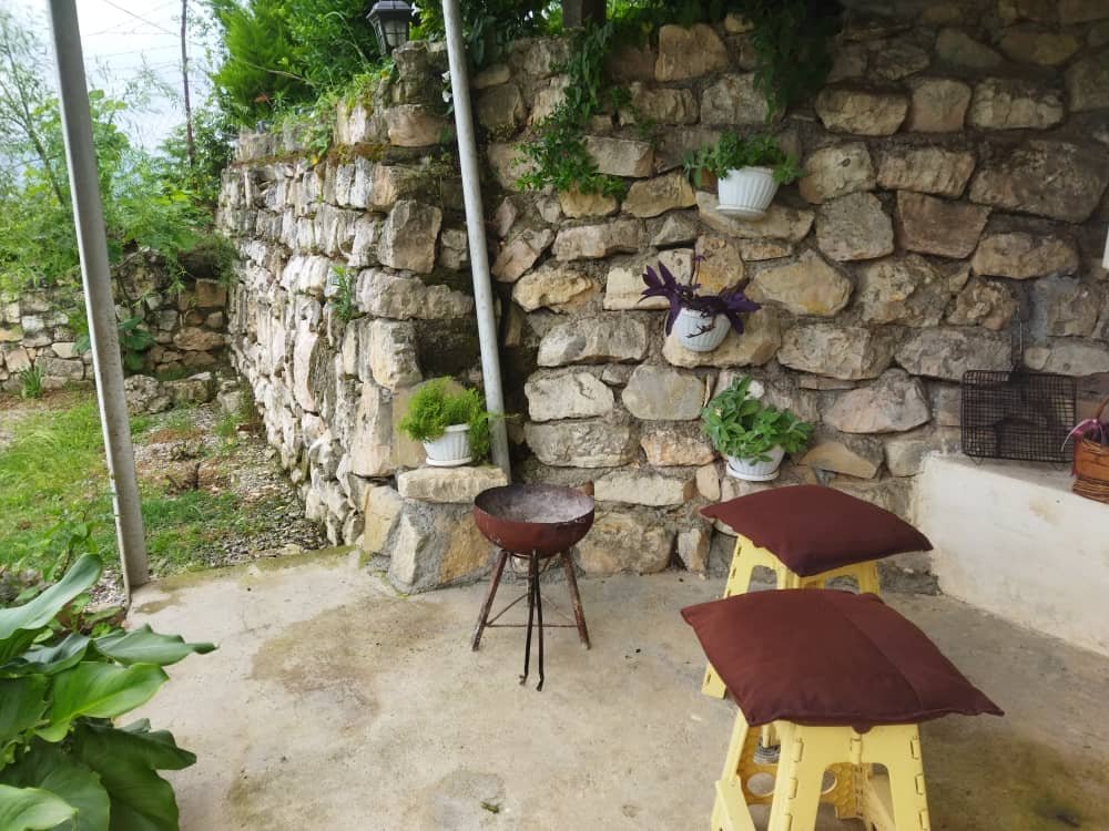 سوئیت فلت جنگلی گردشی