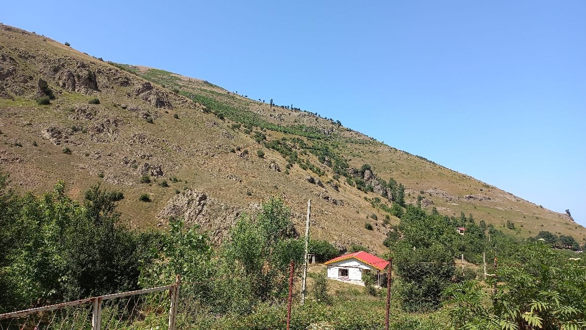 کلبه یک خوابه دشتیاری