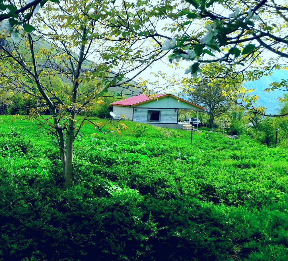 کلبه یک خوابه دشتیاری