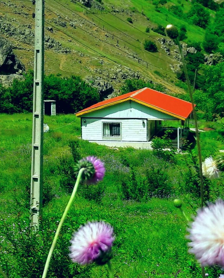 کلبه یک خوابه دشتیاری